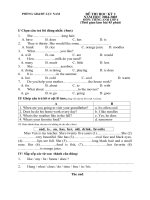 De thi HK II Tieng Anh 6 2009-2010