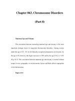 Chapter 063. Chromosome Disorders (Part 8) ppsx