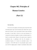 Chapter 062. Principles of Human Genetics (Part 12) pptx
