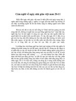 Cam nghi ve ngay NGVN-20-11