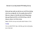 Giải mã và sao chép nhanh DVD không cần rip pdf