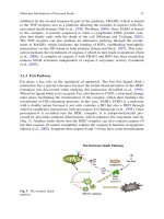 Neurochemical Mechanisms in Disease P5 ppt