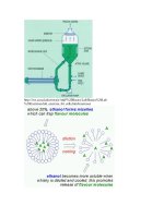 hinhthinghiem-congthucchat(hay)