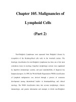 Chapter 105. Malignancies of Lymphoid Cells (Part 2) ppt