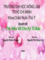 Tìm Hiểu Về Chu Kỳ Tế Bào ppsx