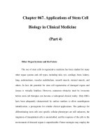Chapter 067. Applications of Stem Cell Biology in Clinical Medicine (Part 4) pot