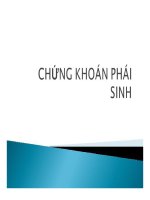Chứng khoán phái sinh