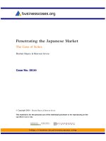 Penetrating the Japanese Market - The Case of Scitex potx