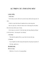 Giáo án vật lý lớp 6 - SỰ TRỘN CÁC ÁNH SÁNG MÀU pdf