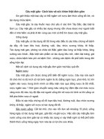 Cây mật gấu - Cách bảo vệ sức khỏe thật đơn giản ppsx