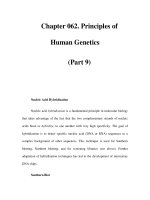 Chapter 062. Principles of Human Genetics (Part 9) potx