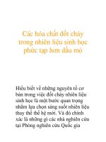 Các hóa chất đốt cháy trong nhiên liệu sinh học phức tạp hơn dầu mỏ pot