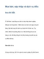 Mua bán, sáp nhập và dịch vụ điều tra chi tiết pptx