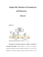 Chapter 061. Disorders of Granulocytes and Monocytes (Part 4) pps