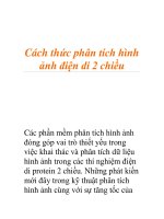 Cách thức phân tích hình ảnh điện di 2 chiều pptx
