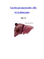 Ung thư gan nguyên phát - điều trị và phòng ngừa (Kỳ 2) pps
