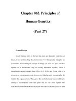 Chapter 062. Principles of Human Genetics (Part 27) pdf