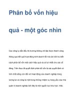 Phân bổ vốn hiệu quả - một góc nhìn doc