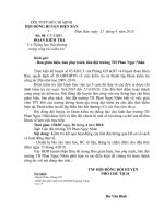 Gỏi BGH, Ban phụ trách, liên đội TH Phan Ngọc Nhân