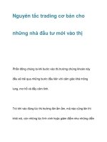 Nguyên tắc trading cơ bản cho những nhà đầu tư mới pdf
