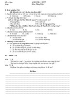 Tiếng việt 6 (142)