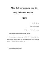 Miễn dịch huỳnh quang trực tiếp trong chẩn đoán bệnh da (Kỳ 3) doc