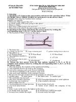 HSG Anh 10 chuyên Vĩnh Phúc 2007