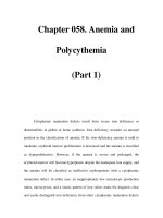 Chapter 058. Anemia and Polycythemia (Part 1) pps