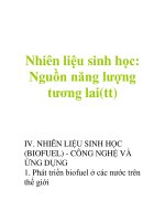 Nhiên liệu sinh học: Nguồn năng lượng tương lai(tt) potx