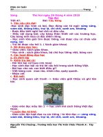 Giáo án Tiếng Việt, Toán lớp 1. tuần 33