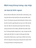 M&A trong khủng hoảng: sáp nhập và mua lại doc