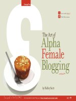 The Art of Alpha Female Blogging docx
