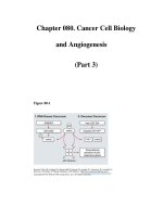Chapter 080. Cancer Cell Biology and Angiogenesis (Part 3) ppt