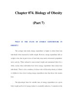 Chapter 074. Biology of Obesity (Part 7) ppt