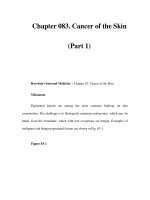 Chapter 083. Cancer of the Skin (Part 1) ppt