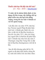 Thuốc sinh học Bt diệt sâu thế nào? pot