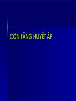 Cơn cao huyết áp cấp tính