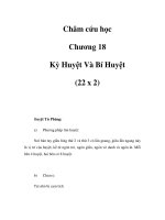 Châm cứu học - Chương 18 - Kỳ Huyệt Và Bí Huyệt pdf