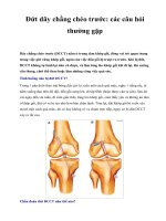 Đứt dây chằng chéo trước: các câu hỏi thường gặp pps