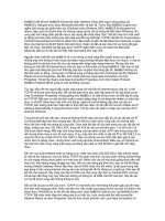 Giao diện người dùng nâng cao NetBIOS pot