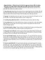 9 điều cấm kị trong cuộc sống hàng ngày pptx