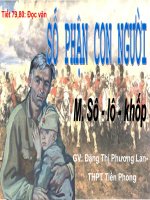 bài giảng số phận con người