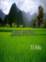 bài giảng nhớ đồng