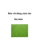 Bón vôi đúng cách cho lúa mùa ppsx