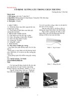 Cố định gãy xương trong chấn thương - Tiền Lâm sàng