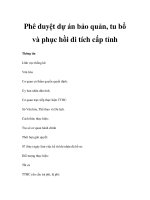 Phê duyệt dự án bảo quản, tu bổ và phục hồi di tích cấp tỉnh pot