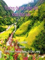 Hệ sinh thái đồng ruộng docx