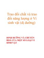 Trao đổi chất và trao đổi năng lượng ở Vi sinh vật (dị dưỡng) ppsx