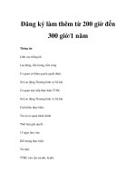 Đăng ký làm thêm từ 200 giờ đến 300 giờ/1 năm pps