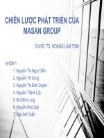 CHIẾN LƯỢC PHÁT TRIỂN CỦA MASAN GROUP